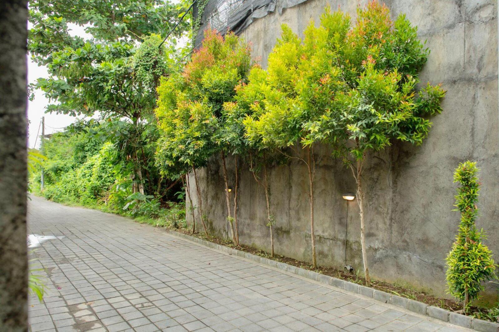 A7 Guesthouse Canggu Extérieur photo